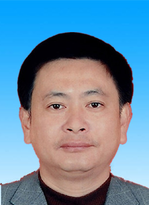 草莓视频
副局长林斌