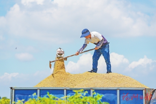 这项省考，福州“六连优”